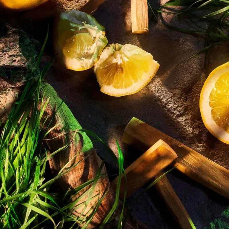 Vetiver Pour Homme Parfum - Roja
